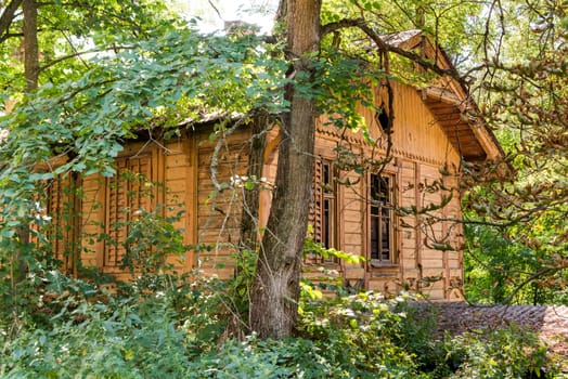 Wood cottage in ukrainian forest abandoned by people
