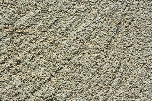 Detailed macro cutting of limestone with many small petrified shells