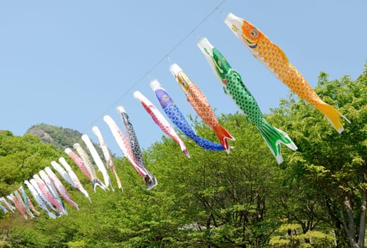 Japanese carp streamer decoration against blue sky