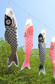 Japanese carp streamer decoration against blue sky
