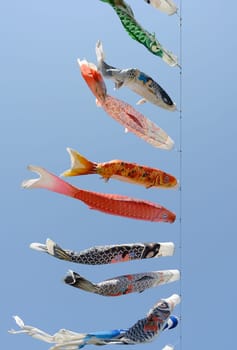 Japanese carp streamer decoration against blue sky