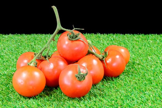 tomato bunch on grass with bright colors