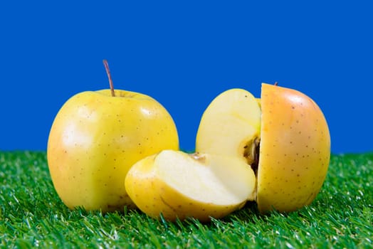 Yellow apples on green grass with bright colors