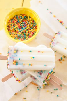 Homemade vanilla ice cream on the stem with colorful sprinkles