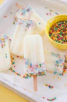 Homemade vanilla ice cream on the stem with colorful sprinkles