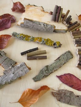 Natural materials: sticks,leaves,lichens and bark