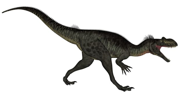 Megalosaurus dinosaur roaring isolated in white background - 3D render