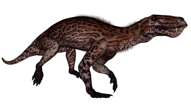 Lycaenops dinosaur walking isolated in white background - 3D render