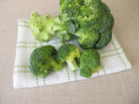 Fresh green broccoli with florets