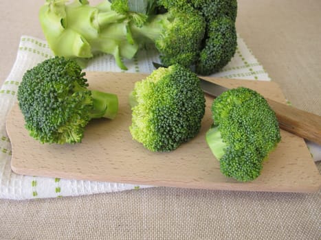 Fresh green broccoli with florets