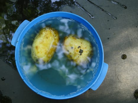 two fresh raw potatoes in a bowl of water top view