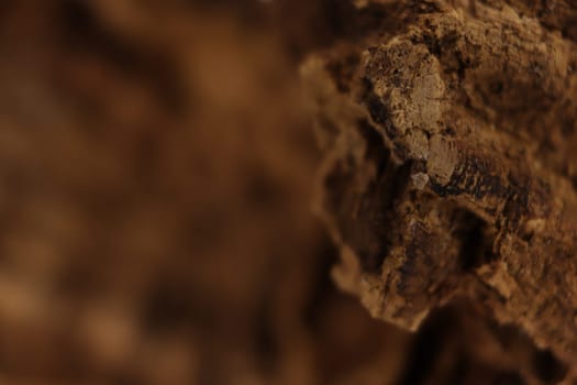 cork natural bark industry macro abstract background cork
