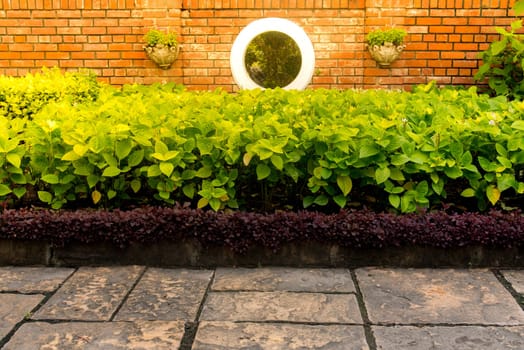 Wall brick and green bush over the ground concrete in the park with the hard sunlight.