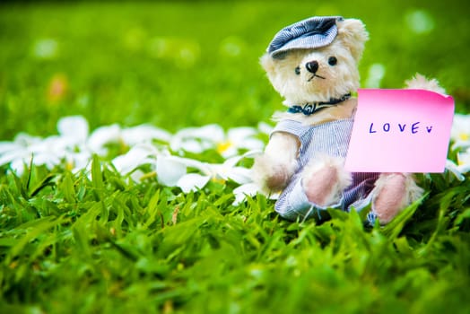Teddy bear sitting in the park. family Concept.