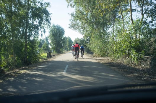 Driving slowly behind cyclists at country wooded road. View from the inside of the car