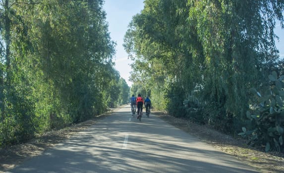 Driving slowly behind cyclists at country wooded road. View from the inside of the car