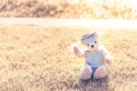 Teddy bear sitting in the park. family Concept.