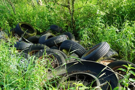 Old car tires dumped on a forest property