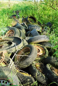 Old car tires dumped on a forest property
