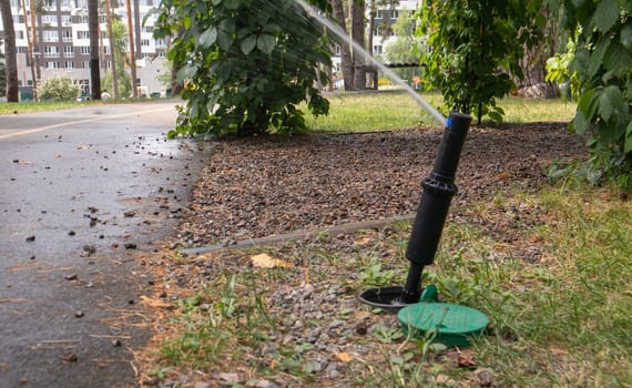 Lawn irrigation system working in a green park. Spraying the lawn with water in hot weather. Automatic sprinkler. The automatic watering sprinkler head watering the lawn. Smart garden