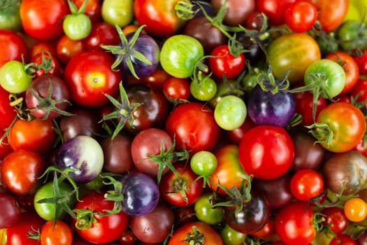 Set of colorful cherry tomatoes, Top view