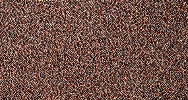 Brown Mustard Seeds on a white background