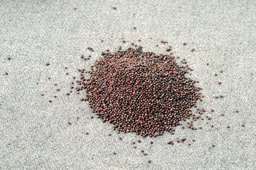 Heap Brown Mustard Seeds on sackcloth