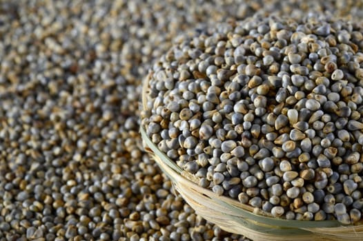 Bajra (Pearl millet) in wooden (bamboo) basket