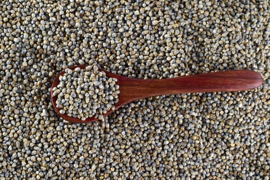close up of Pearl Millet (Bajra) with wooden spoon.