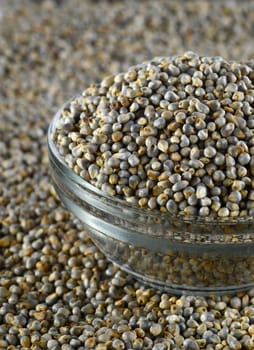 Bajra (Pearl millet) in glass bowl