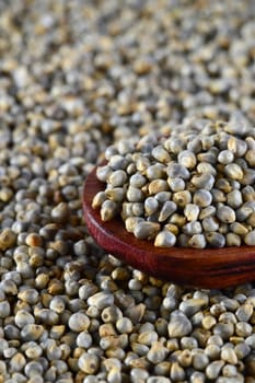 close up of Pearl Millet (Bajra) with wooden spoon.
