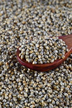 close up of Pearl Millet (Bajra) with wooden spoon.