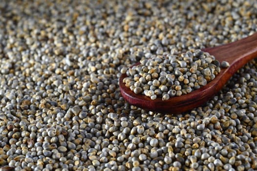 close up of Pearl Millet (Bajra) with wooden spoon.