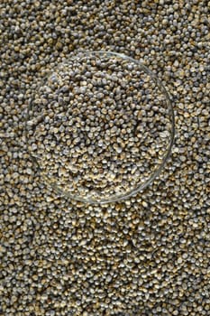 Bajra (Pearl millet) in glass bowl