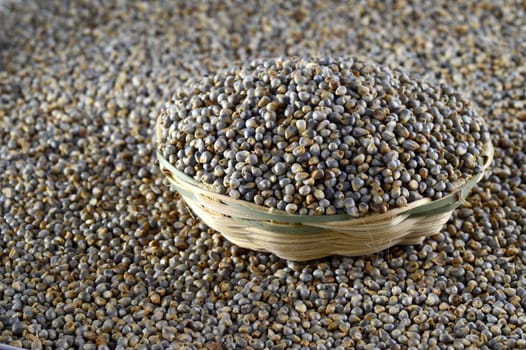 Bajra (Pearl millet) in wooden (bamboo) basket