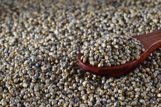 close up of Pearl Millet (Bajra) with wooden spoon.