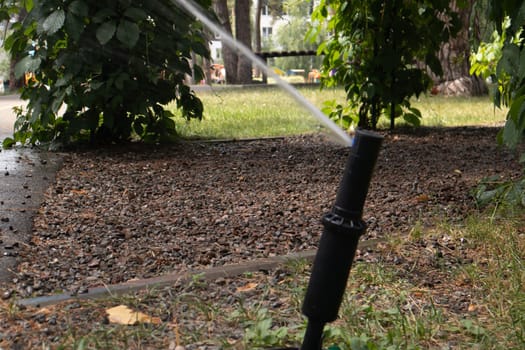 Lawn irrigation system working in a green park. Spraying the lawn with water in hot weather. Automatic sprinkler. The automatic watering sprinkler head watering the lawn. Smart garden