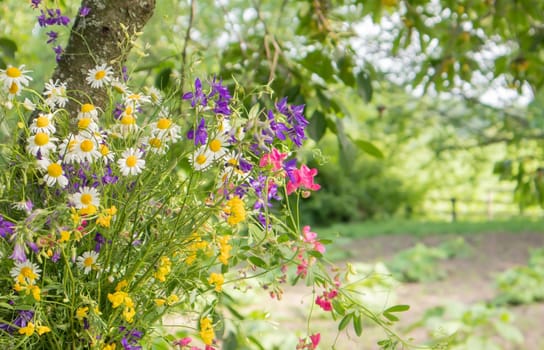 View of a mixed bouquet of wildflowers on a wooden table in the garden. Summer or spring day. Beautiful floral background. Copy space