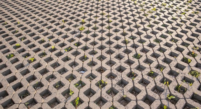 Background from paving slabs with grass sprouting through them. Stone tiles on the sidewalk. Footpath. Textured patterned background. Eco-friendly covering - concrete lawn grating