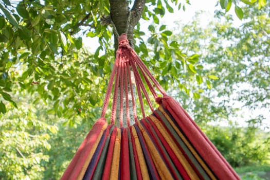Close-up color travel hammock for relaxing in the trees. A colorful empty hammock between two trees, one side tied to a tree. Summer camping. Outdoors and adventure concept