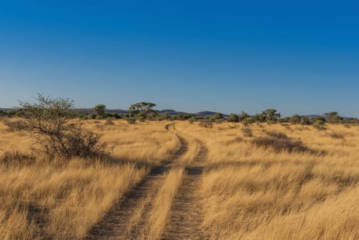 landscape on the grounds of the Ovita Wildlife Restcamp, Okahandja, Namibia