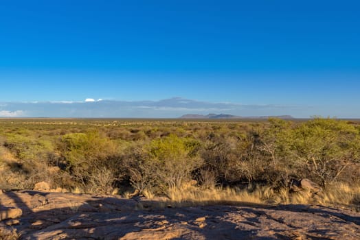 landscape on the grounds of the Ovita Wildlife Restcamp, Okahandja, Namibia