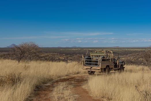 landscape on the grounds of the Ovita Wildlife Restcamp, Okahandja, Namibia