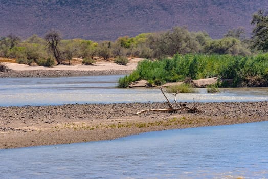 Landscape on the banks of the Kunene River, the border river between Namibia and Angola