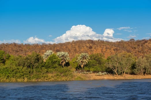 Landscape on the banks of the Kunene River, the border river between Namibia and Angola