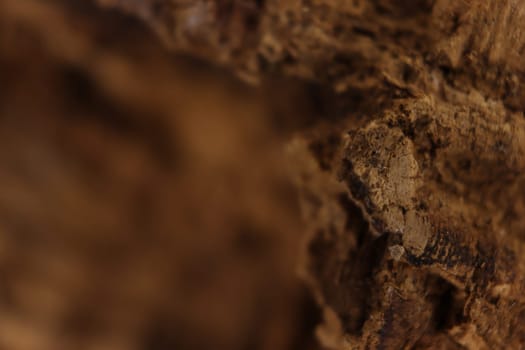 cork natural bark industry macro abstract background cork