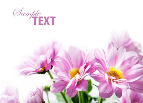 Flower bouquet isolated over white background