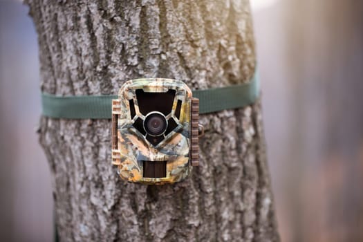 Trail camera for wildlife monitoring attached to a tree with green strap. Hidden digital trap with motion pir sensor and infrared flash used for scientific research.