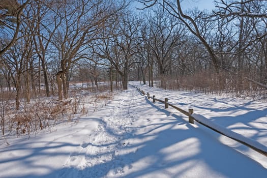 Forest Trail in the Winter in Crabtree Nature Center in Illinois