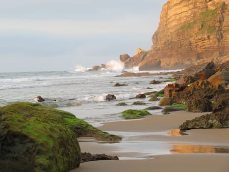 beautiful beach sand water sun fresh air breeze